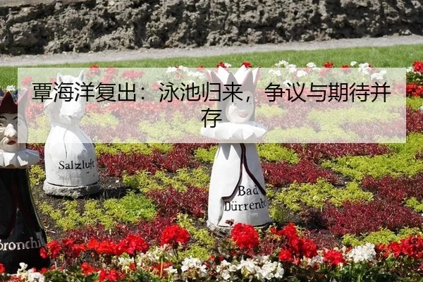 覃海洋复出：泳池归来，争议与期待并存 | leyu